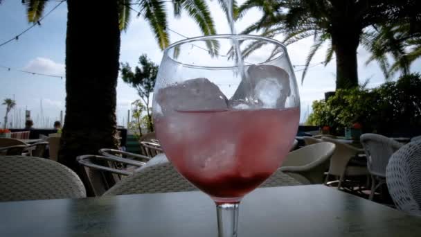 Gin Tonic Drink Mit Rosa Wasser Und Eiswürfeln Schöne Palmen — Stockvideo
