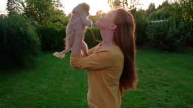 Woman holding a small cute Chihuahua puppy at sunset. Long-haired pet miniature dog with brown hair. Adorable little friend. Companion friendly dog. Funny purebred canine. Slow motion. 