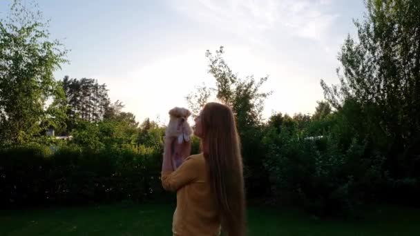 Woman Holding Small Cute Chihuahua Puppy Sunset Long Haired Pet — Stockvideo