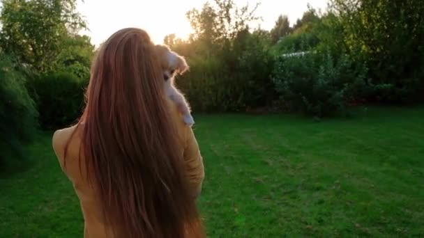 Woman Holding Small Cute Chihuahua Puppy Sunset Long Haired Pet — Vídeo de Stock