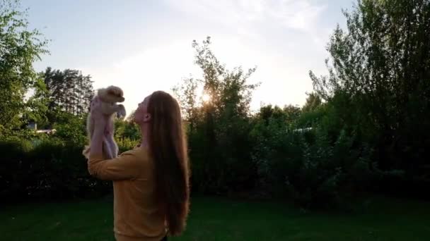 Woman Holding Small Cute Chihuahua Puppy Sunset Long Haired Pet — 비디오