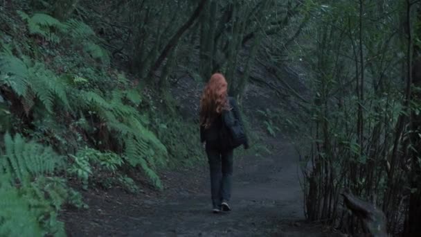 Egy Elvarázsolt Erdőben Sétál Vörös Hajú Lány Hosszú Hajjal Hátizsákkal — Stock videók