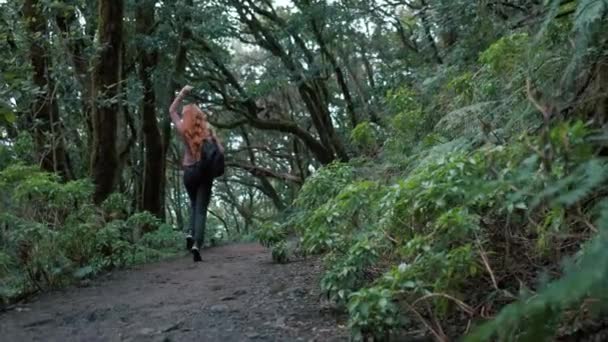 Kobieta Chodzi Zaczarowanym Lesie Rudowłosa Dziewczyna Długimi Włosami Trzymająca Plecak — Wideo stockowe