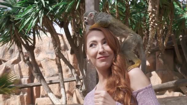 Mujer Con Mono Cabeza Chica Está Sonriendo Con Animal Divertido — Vídeo de stock