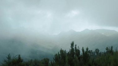 Dağ ve sisli güzel bir manzara. Güzel sisli doğa arka planı. Puslu panorama videosu.