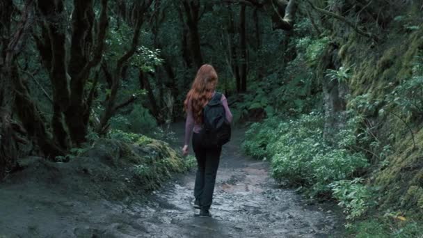 Kobieta Chodzi Zaczarowanym Lesie Rudowłosa Dziewczyna Długimi Włosami Trzymająca Plecak — Wideo stockowe