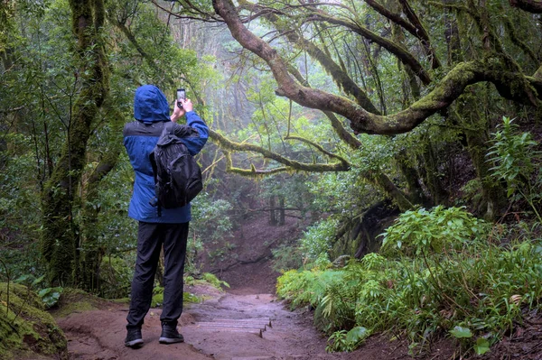 Man Enchanted Forest Taking Photo Male Holding Mobile Phone Trees — Stock Photo, Image