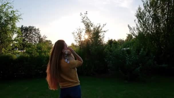 Woman Holding Small Cute Chihuahua Puppy Sunset Long Haired Pet — Wideo stockowe