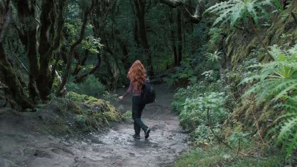 Woman Walking Enchanted Forest Redhead Girl Long Hair Holding Backpack — Vídeo de stock