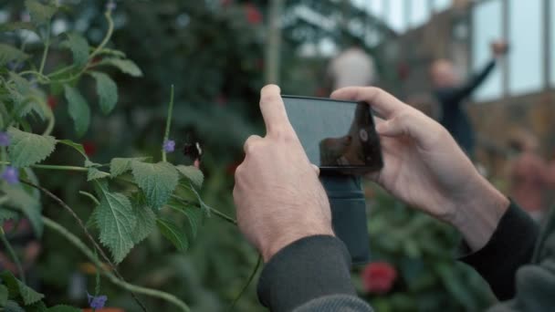 Hombre Tomando Una Foto Con Teléfono Móvil Una Mariposa Heliconius — Vídeo de stock