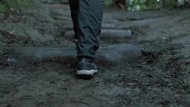 Chodící Nohy Začarovaném Lese Zblízka Nohy Stoupající Schodech Detailní Záběr — Stock video