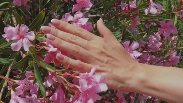 아름다운 분홍빛 매니큐어 손에는 무늬가 천천히 움직이고 아름다운 여성의 그리고 — 비디오