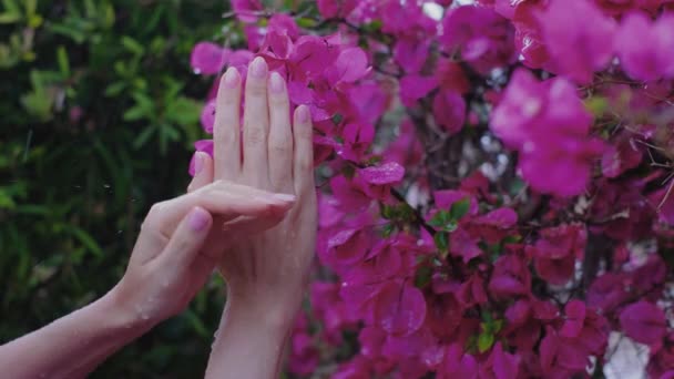 Kobiece Ręce Pięknym Naturalnym Różowym Eleganckim Manicure Mocny Deszcz Piękne — Wideo stockowe