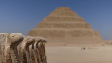 Eski yılanlara yakın. Arka planda Djoser Step var. Arkeolojik olarak Saqqara mezarlığı, Mısır, Afrika. Seyahat konsepti.