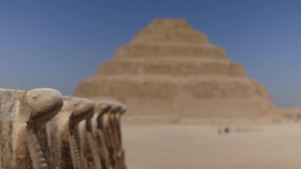 古代のヘビを閉じます 背景にはDjoser Stepがあります 考古学はエジプトのサッカラ ネクロポリスに残っている 旅行観光のコンセプト — ストック動画