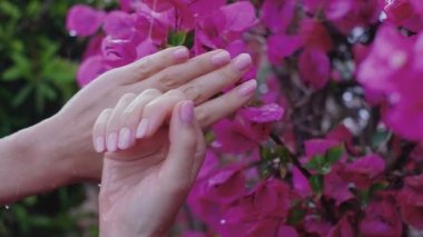 Güzel, doğal, pembe, zarif manikürlü kadın elleri. Şiddetli yağmur. Güzel kadın tırnakları, kaplıca, su ve cilt bakımı. Güzellik manikürcüsü. Yavaş çekim 4K video.