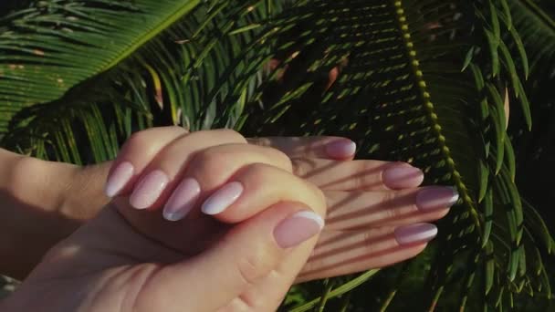 女性的手与美丽的天然粉红优雅的指甲 绿棕榈美丽的妇女指甲 温泉和护肤的概念 美甲沙龙 慢动作4K视频 — 图库视频影像