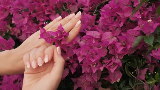 Kobiece Ręce Pięknym Naturalnym Różowym Francuskim Eleganckim Manicure Gradientem Piękne — Wideo stockowe