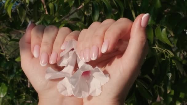 Жіночі Руки Красивим Натуральним Рожевим Французьким Елегантним Манікюром Градієнтом Красиві — стокове відео