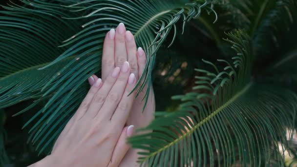 Güzel Doğal Pembe Zarif Manikürlü Kadın Elleri Yeşil Avuç Içi — Stok video