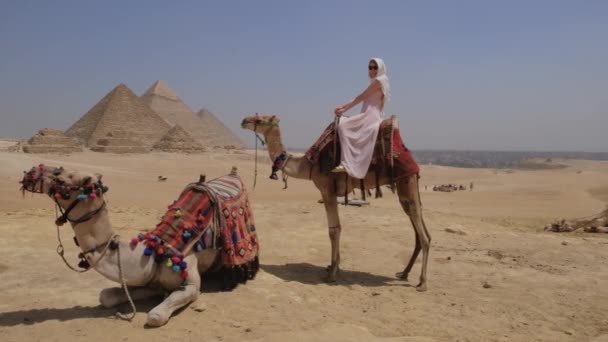 Młoda Kobieta Siedzi Wielbłądzie Egipcie Wielka Piramida Gizie Jest Tle — Wideo stockowe