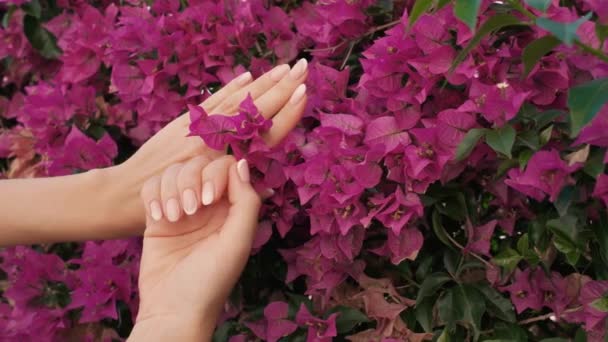 Mains Féminines Avec Belle Manucure Élégante Rose Naturel Français Avec — Video