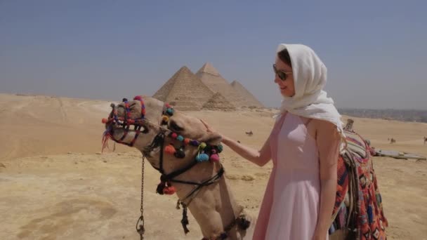 Jovem Está Perto Camelo Egito Grandes Pirâmides Gizé Estão Sobre — Vídeo de Stock