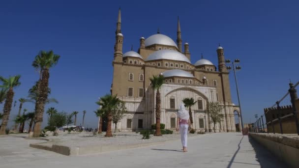 ムハンマド パシャの大モスクやアラバスター モスクに向かって歩いている女性 観光客の群衆 休暇中の人たち 観光スポット カイロ エジプト — ストック動画