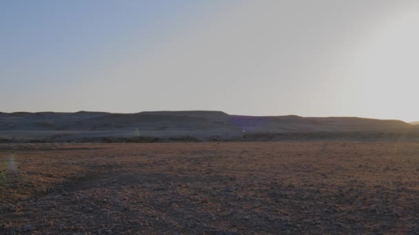 Safari Viaggiare Africa Deserto Pietroso Sahara Deserto All Alba Tramonto — Video Stock
