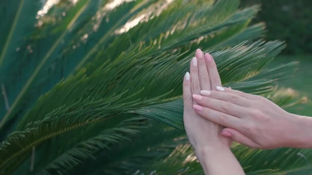 Mãos Femininas Com Manicure Elegante Rosa Natural Bonito Palma Verde — Vídeo de Stock