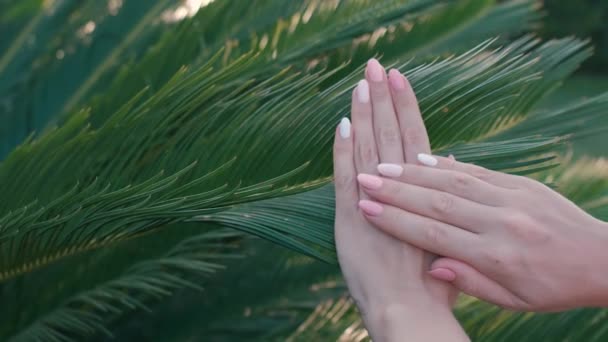 Vrouwelijke Handen Met Prachtige Natuurlijke Roze Elegante Manicure Groene Palm — Stockvideo