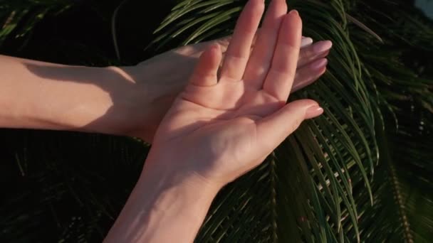 Mani Femminili Con Bella Manicure Elegante Rosa Naturale Palmo Verde — Video Stock