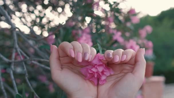 슬로우 비디오는 꽃으로 매니큐어 손톱을 특징으로합니다 장면은 흐릿하고 초점이 맞춰진 — 비디오