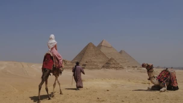 Tym Filmie Młoda Kobieta Siedzi Szczycie Wielbłąda Egipcie Kultowymi Wielkimi — Wideo stockowe