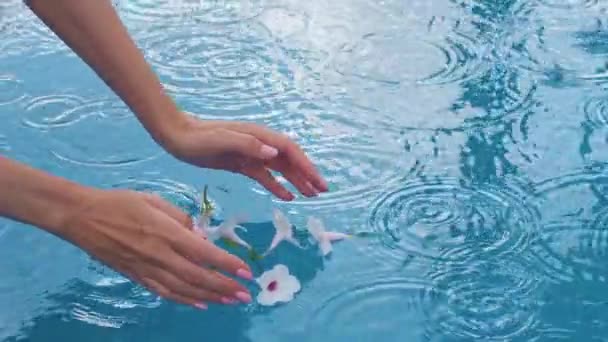Denna Förtrollande Slow Motion Video Kvinnliga Händer Stoltsera Naturlig Rosa — Stockvideo