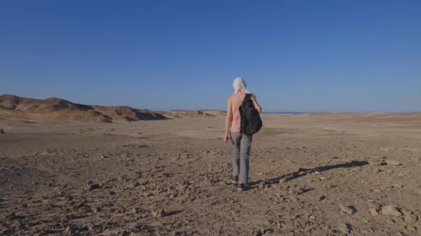 Tomto Videu Žena Zkoumá Obrovskou Rozlohu Egyptské Pouště Ztělesňující Ducha — Stock video