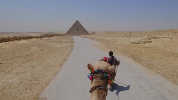 この魅惑的なビデオでエジプトのギザのピラミッドの魔法を体験してください 彼らは時代を超越した不思議の国を通って観光客をリードするように ラクダの頭と知識豊富なガイドに従ってください — ストック動画