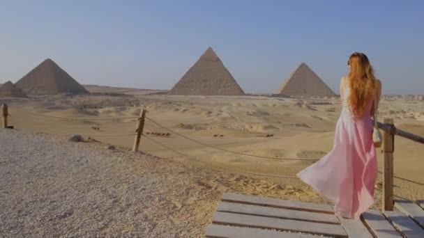 Vista Posterior Joven Mujer Pie Mirando Las Grandes Pirámides Guiza — Vídeo de stock