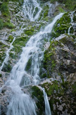 Yosun kaplı kayalardan dökülen şelalenin yakın görüntüsü. Su çeşitli katmanların üzerinden akar, yosun ve taşların dokularıyla yemyeşil ve huzurlu bir manzara yaratır..