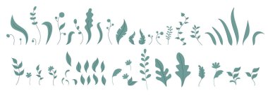 Bu resim, doğayı ve organik büyümeyi temsil eden temiz vektör düz sanat tarzında çeşitli yapraklar, bitkiler, gövdeler ve çiçek elementlerinin yer aldığı bir botanik siluet koleksiyonunu sergiliyor..