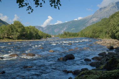 Bu resim, parlak mavi bir gökyüzü altında uzak dağların oluşturduğu yemyeşil ormanlarla çevrili geniş ve hızlı akan bir nehri tasvir ediyor..