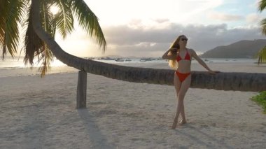 Yavaş çekimde 4K video, kumlu bir sahilde eğimli bir palmiye ağacına yaslanmış kırmızı bikinili mutlu bir kadını gün batımında arka planda kayıklar ve dağlarla huzurlu bir tatilin tadını çıkarırken görüntülüyor..