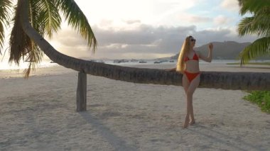 Yavaş çekimde 4K video, kumlu bir sahilde eğimli bir palmiye ağacına yaslanmış kırmızı bikinili mutlu bir kadını gün batımında arka planda kayıklar ve dağlarla huzurlu bir tatilin tadını çıkarırken görüntülüyor..