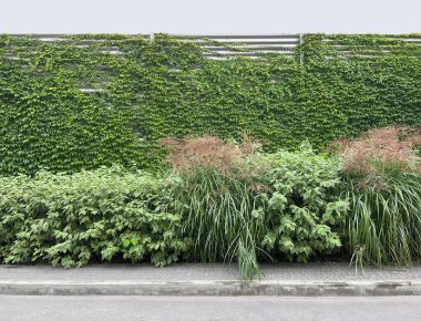 Yol boyunca bir parkta çit var. Park sokağı. Arkaplan, şablon.