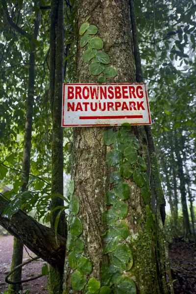Panneau Brownsberg Dans Forêt Images De Stock Libres De Droits