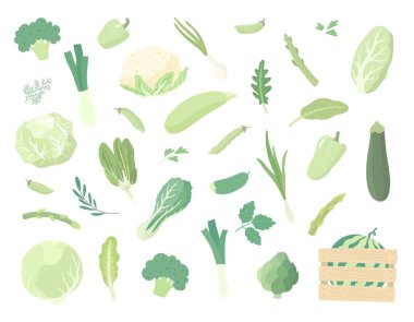 Çeşitli yeşil sebzeler. Organik doğal sebzeler, yeşiller, salatalar. Vejetaryen, vejetaryen, sağlıklı yemek. Düz biçimli vektör illüstrasyonu.