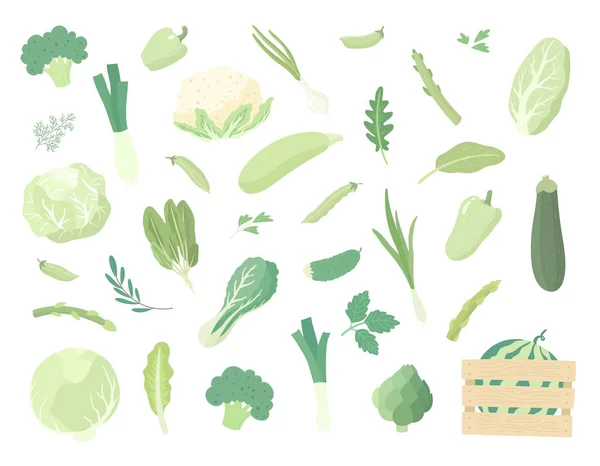 Set Various Green Vegetables Organic Natural Vegetables Greens Salads Vegan — Stock Vector