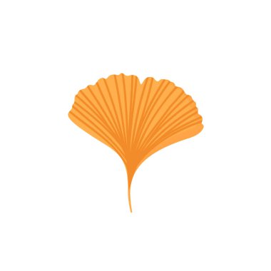 Bir sonbahar ginkgo biloba yaprağı. Vektör düz simge çizimi.