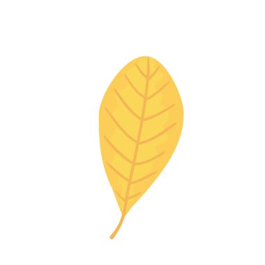 Bir sonbahar yaprağı. Vektör düz simge çizimi.
