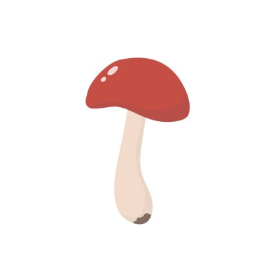 Kırmızı başlıklı makas sapı. Leccinum aurantiacum. Orman mantarı. Düz biçimli vektör illüstrasyonu.